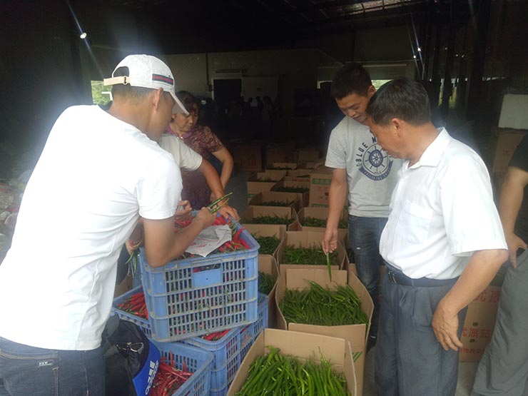 Z6·尊龙「中国区」官方网站