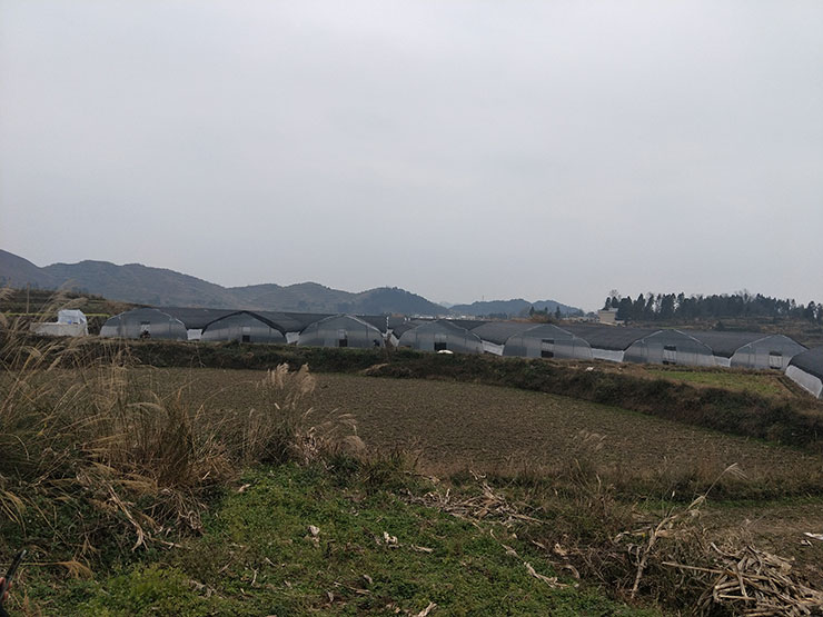 Z6·尊龙「中国区」官方网站