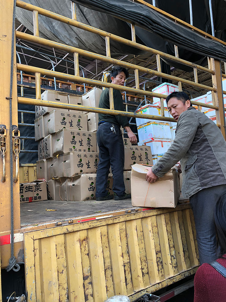 Z6·尊龙「中国区」官方网站