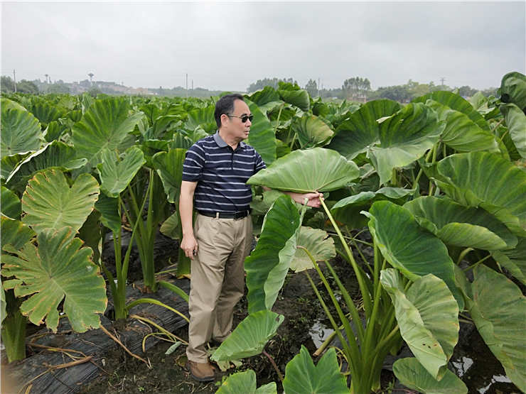 Z6·尊龙「中国区」官方网站