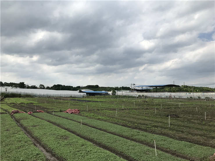 Z6·尊龙「中国区」官方网站