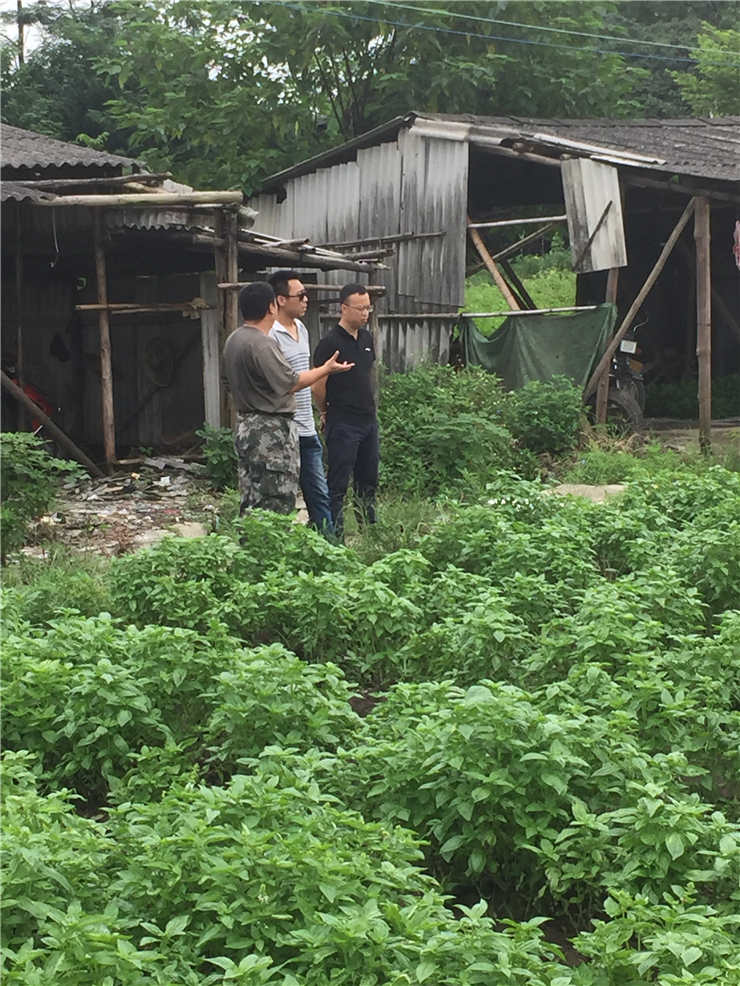 Z6·尊龙「中国区」官方网站