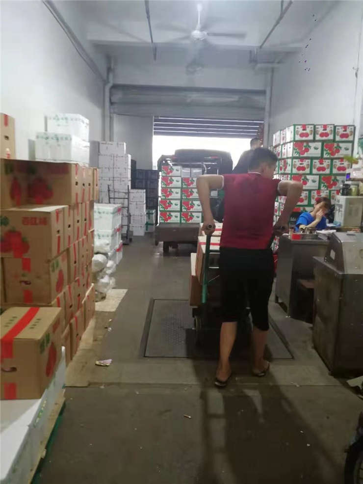 Z6·尊龙「中国区」官方网站