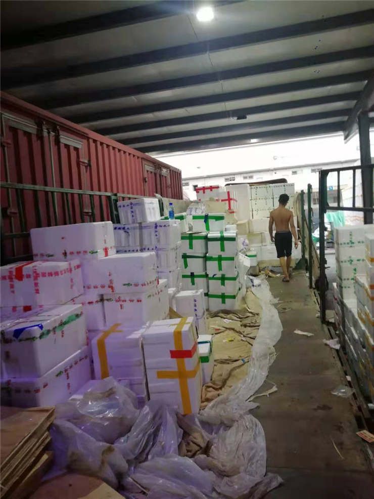 Z6·尊龙「中国区」官方网站