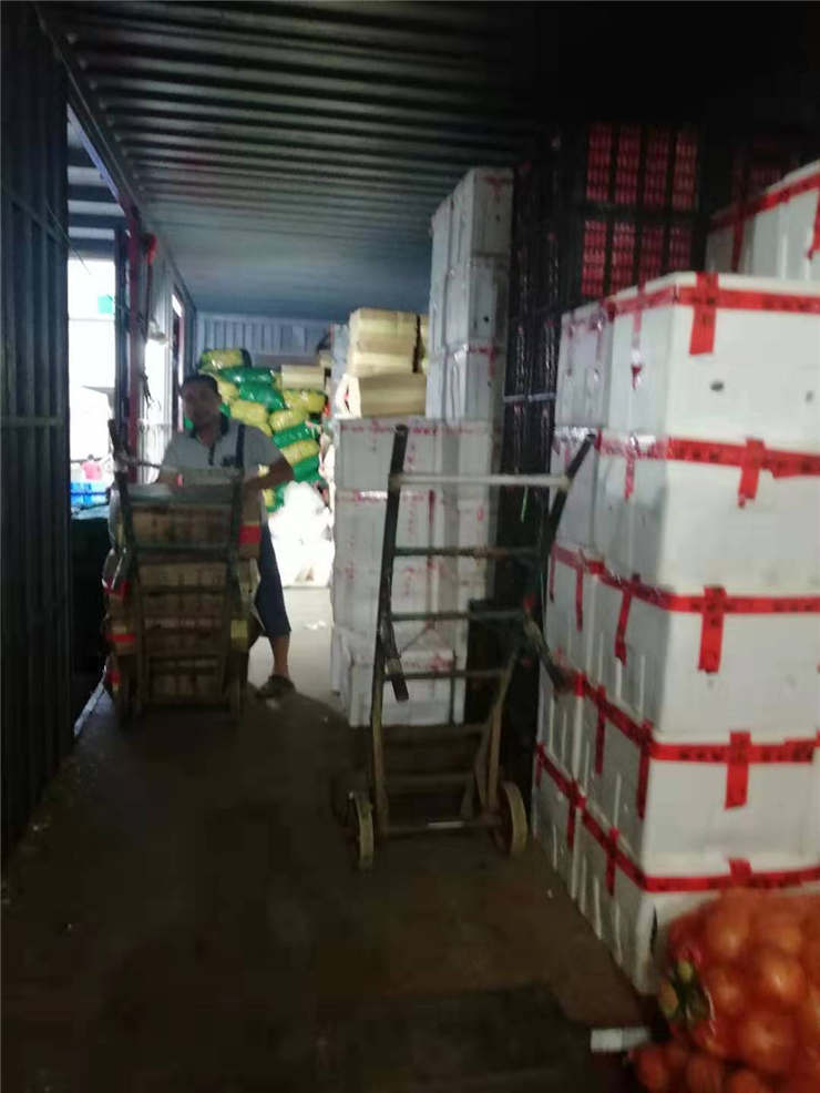 Z6·尊龙「中国区」官方网站