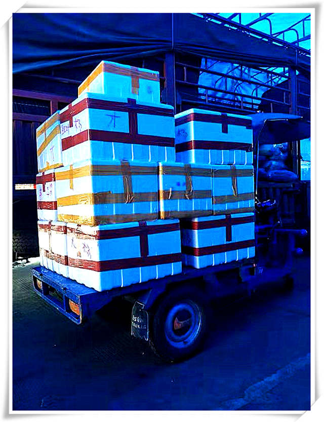 Z6·尊龙「中国区」官方网站