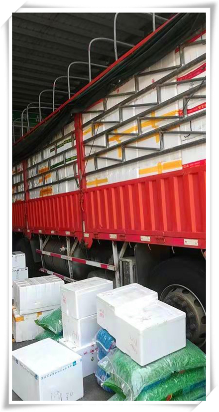 Z6·尊龙「中国区」官方网站