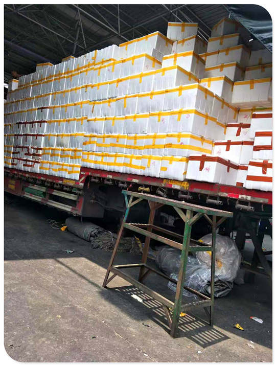 Z6·尊龙「中国区」官方网站