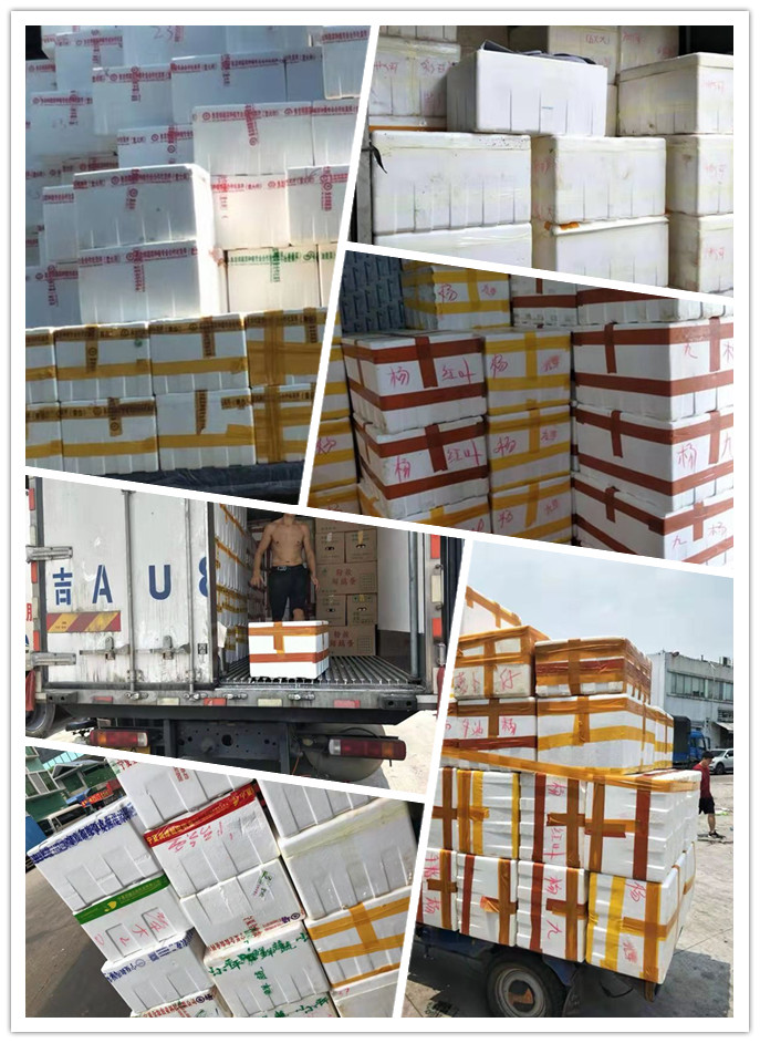 Z6·尊龙「中国区」官方网站