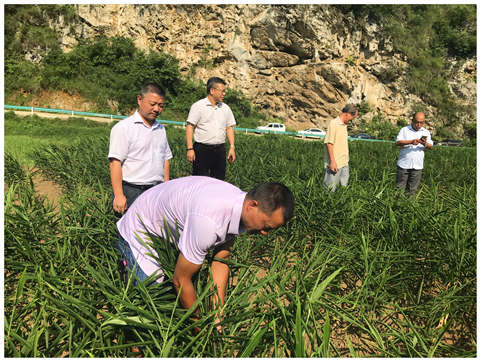 Z6·尊龙「中国区」官方网站