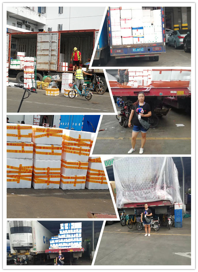 Z6·尊龙「中国区」官方网站