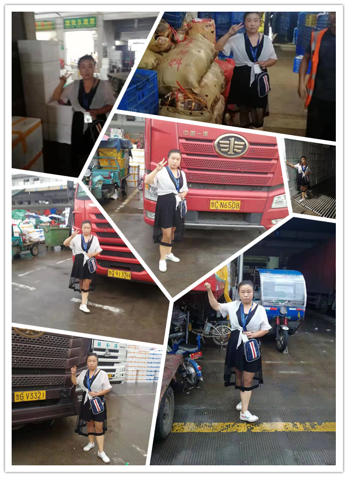 Z6·尊龙「中国区」官方网站