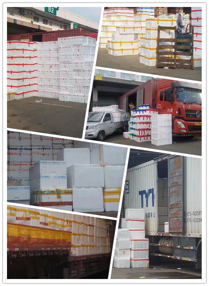 Z6·尊龙「中国区」官方网站