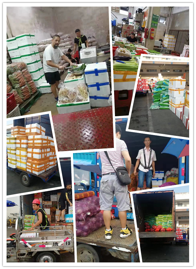 Z6·尊龙「中国区」官方网站