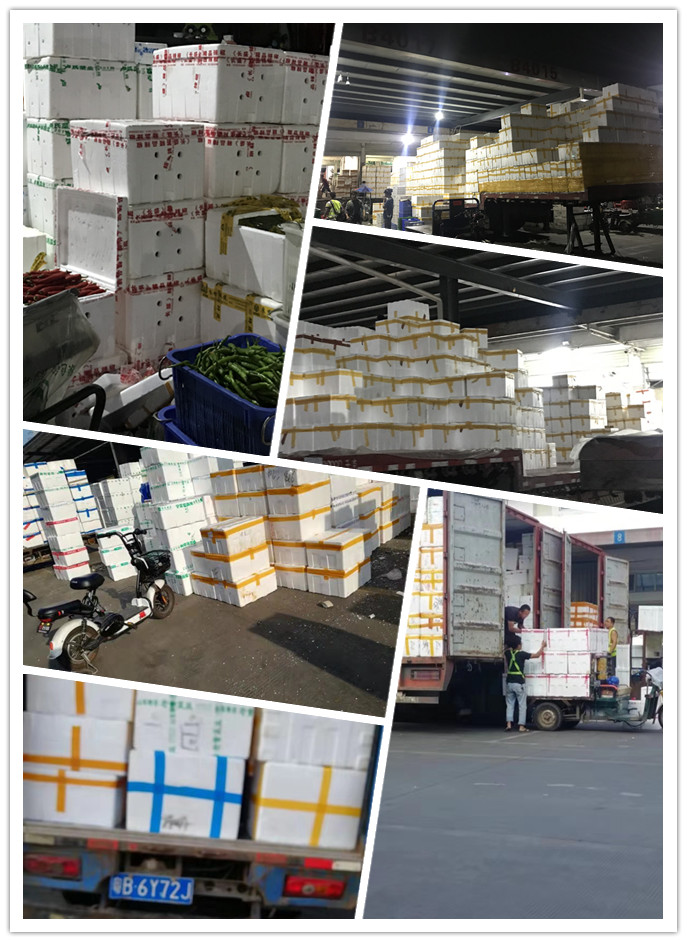 Z6·尊龙「中国区」官方网站