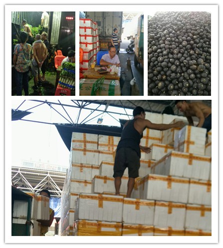 Z6·尊龙「中国区」官方网站