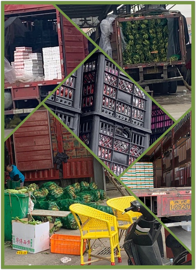 Z6·尊龙「中国区」官方网站