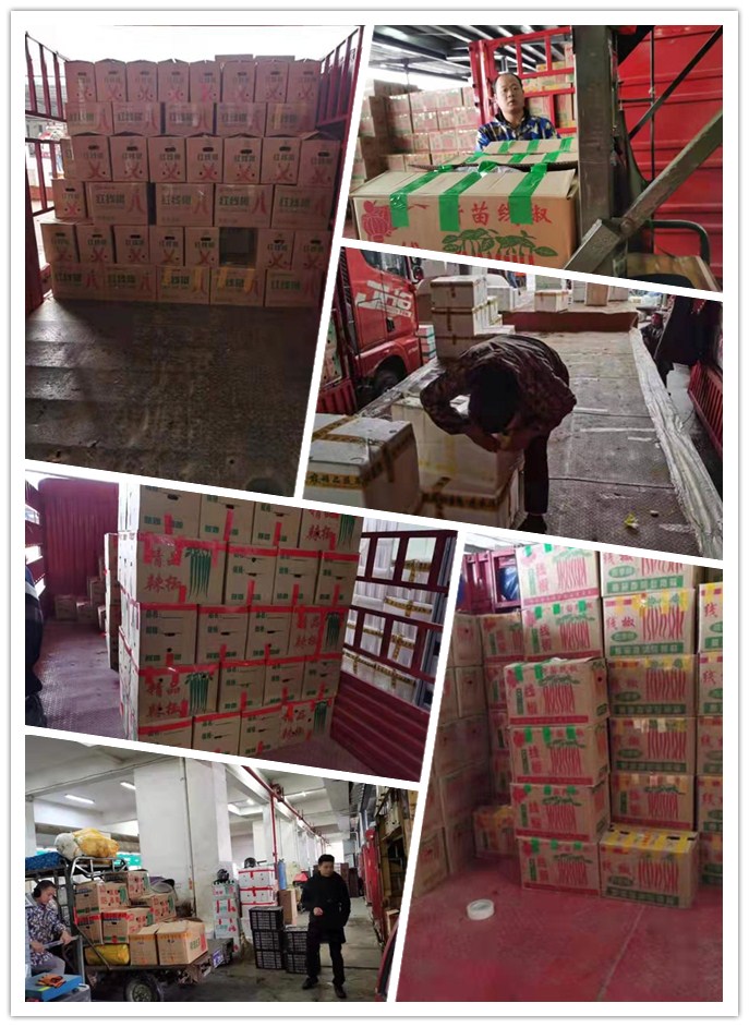 Z6·尊龙「中国区」官方网站