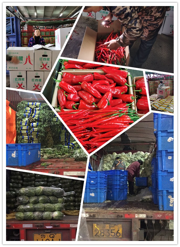 Z6·尊龙「中国区」官方网站