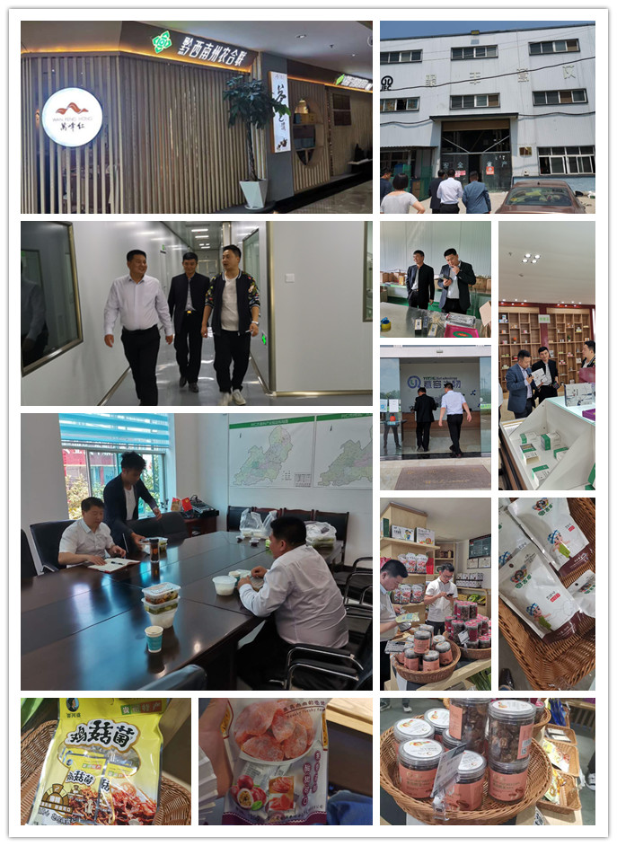 Z6·尊龙「中国区」官方网站