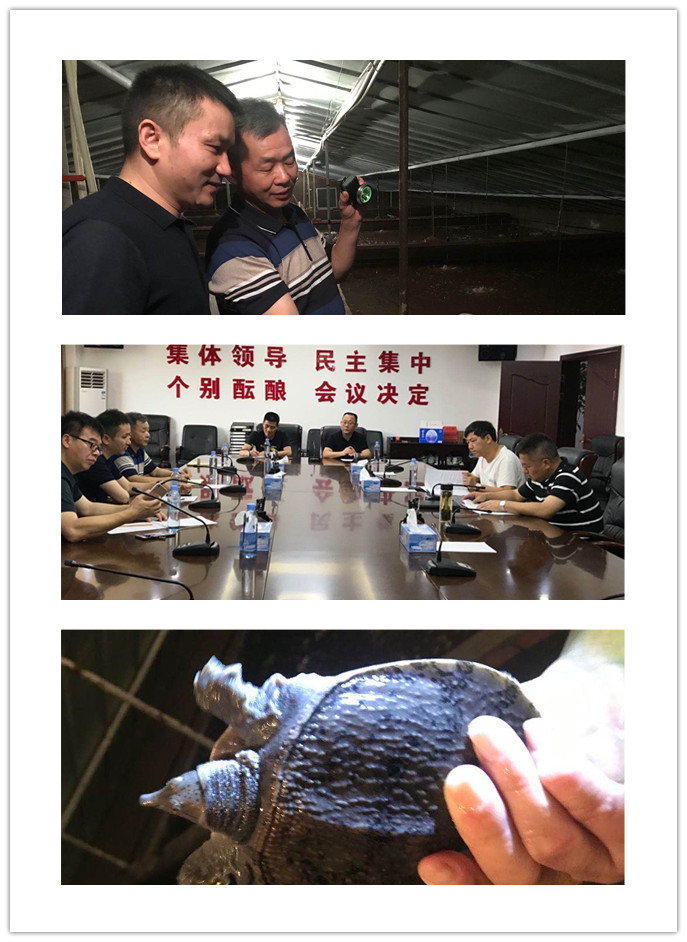 Z6·尊龙「中国区」官方网站