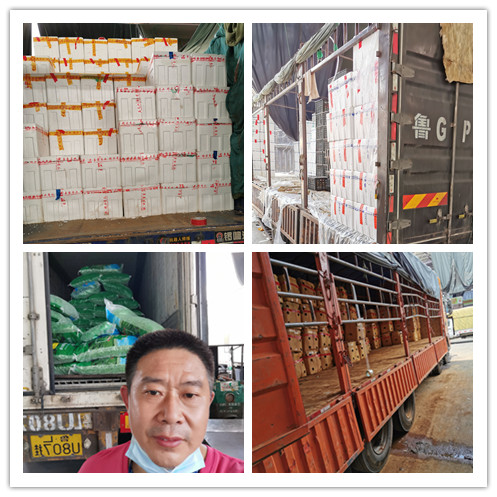 Z6·尊龙「中国区」官方网站