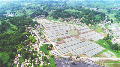 Z6·尊龙「中国区」官方网站