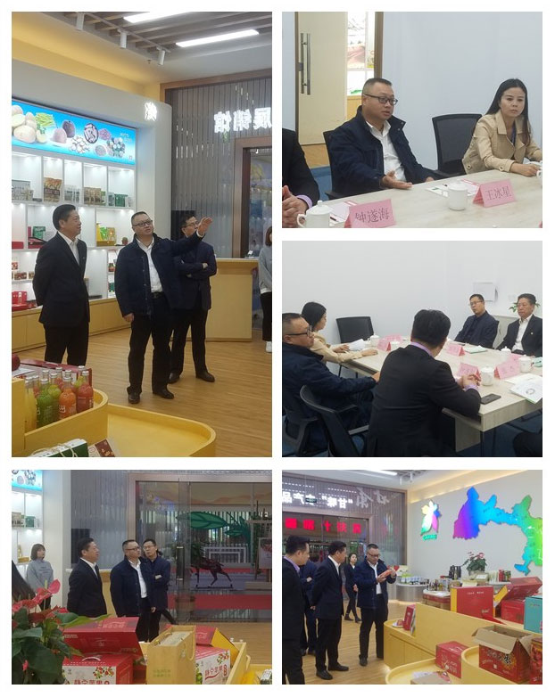 Z6·尊龙「中国区」官方网站