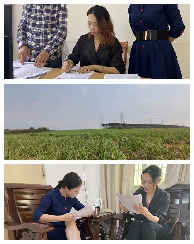 Z6·尊龙「中国区」官方网站