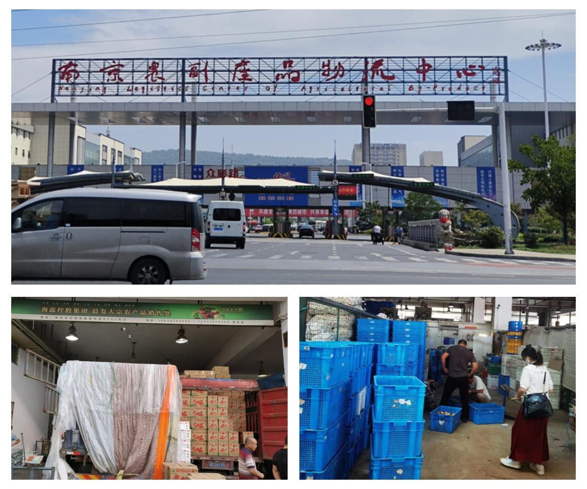 Z6·尊龙「中国区」官方网站