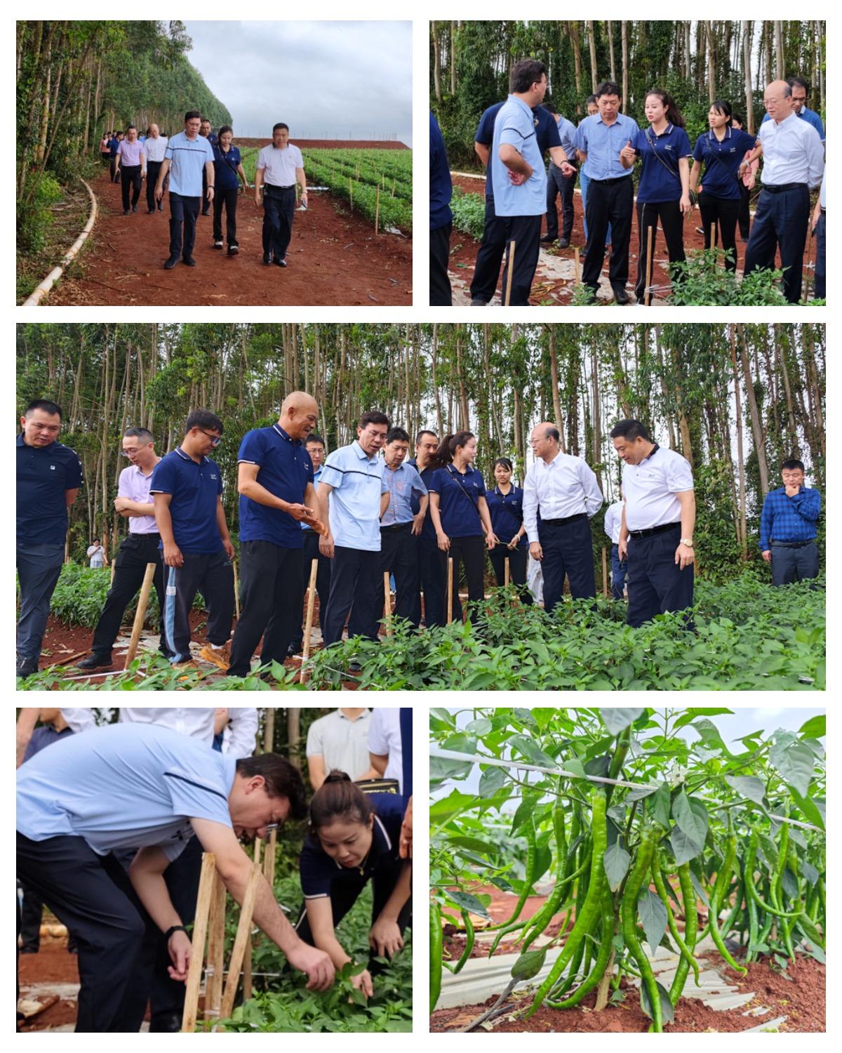 Z6·尊龙「中国区」官方网站