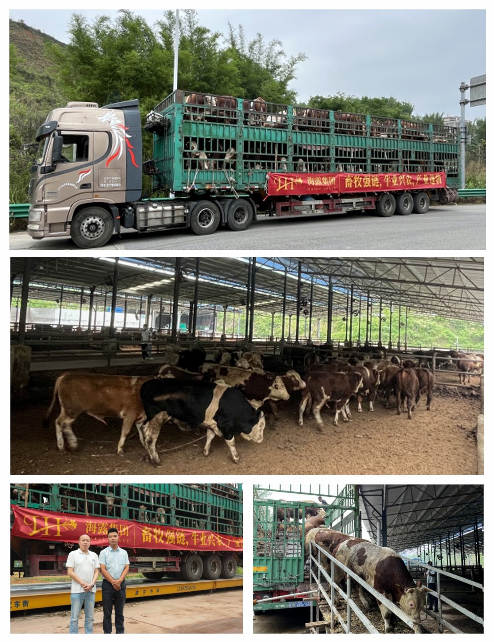 Z6·尊龙「中国区」官方网站