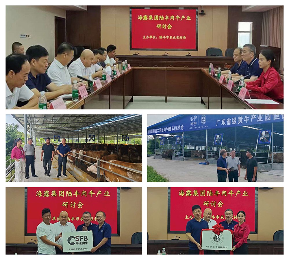 Z6·尊龙「中国区」官方网站